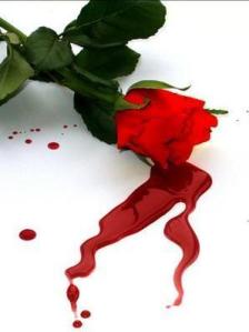 bloody_rose