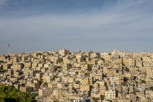 Misreading Palestine